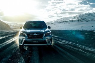 В России появится новая версия автомобиля Subaru Forester – Sport